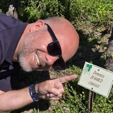 Domenico Di Marco